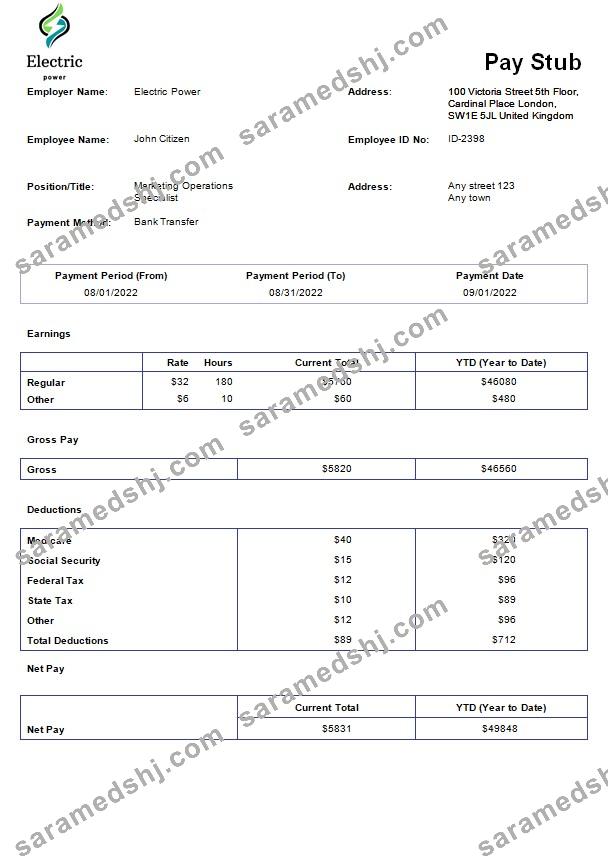 Electric power pay stub template in Word and PDF formats